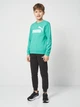 Подротсковый спортивный костюм (свитшот + штаны) для мальчика Puma Essentials No.1 Logo 68629640 170-176 см Vibrant Green (4069161971563) - изображение 1