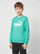 Детский спортивный костюм (свитшот + штаны) для мальчика Puma Essentials No.1 Logo 68629640 122-128 см Vibrant Green (4069161971570) - изображение 3