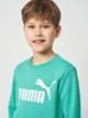 Подротсковый спортивный костюм (свитшот + штаны) для мальчика Puma Essentials No.1 Logo 68629640 146-152 см Vibrant Green (4069161971594) - изображение 5