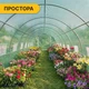 Садовая теплица парник с москитной сеткой 36 м2 12х3х2 м LEOBRO Garden Green Mosquito Door LB-G129-GRN, зеленая - изображение 9