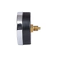 Термоманометр Thermo Alliance Standart 80 мм 1/2", заднє підключення SD17310B - зображення 7