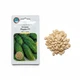 Огурец Родос F1 Agro Paradise, 1г, высокоурожайный корнишон для консервирования и ежедневного сбора - изображение 1