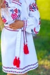 Вишита сукня для дівчинки Trend Трояндочка 128 Білий (SOLSUD2209) - изображение 6