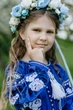 Вишита сукня для дівчинки Trend Троянда 92 Синій (SOLSUD2222) - изображение 2