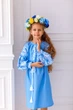 Вишита сукня для дівчинки Trend Листя 104 Блакитний (SOLSUD2225) - зображення 7