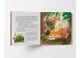 Книга Хвостаті пригоди. Пончик та Грінка. Канікули за містом - зображення 3