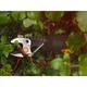 Аккумуляторный сучкорез до 32 мм Fiskars eLopper Bypass 130-170 см, БЕЗ АКБ (1082299) - изображение 5