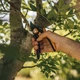 Секатор Fiskars Plus SmartFit P541 Bypass до 24 мм (1057169) - изображение 3