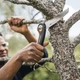 Садова пила складна Fiskars Plus™ SW68, S - 150 мм (1067552) - зображення 3