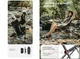 Крісло складане Naturehike Stellaluna L04 CNK2450JJ015 розмір L алюміній Black (6976023929410) - зображення 5