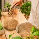 Субстрат COMPO BIO GRANUPLANT для кімнатних рослин, 3 л (8817) - изображение 4