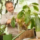 Субстрат COMPO BIO GRANUPLANT для кімнатних рослин, 3 л (8817) - изображение 5