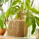 Субстрат COMPO Bio Granuplant для комнатных растений 3 л (4008398188177/8817) - изображение 9
