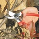 Набор FELCO 2 + ПОДАРОК (Секатор Фелко 2 + Фирменная Шапка Фелко в подарочной коробке) - изображение 3