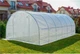 Теплиця садова 24 м² Funfit Garden (8 х 3 х 2 м) з армованою плівкою UV-4, з вікнами, Прозора - зображення 8