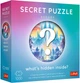 Пазл Trefl Secret Puzzle: Aurora 1000 елементів 12105 (5900511121056) - зображення 1