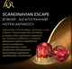 Кофе молотый в капсулах L'Or Espresso Destinations Scandinavian Escape 10 капсул (8711000597958) - изображение 6