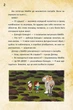Приключенческая книга Диппер, Мэйбл и проклятые сокровища пиратов времени Гравити Фолз Disney для детей (592498) - изображение 4