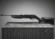 Винтовка пневматическая Crosman PumpMaster 760 (Black) - изображение 5