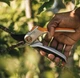 Площинний секатор суцільнометалевий Fiskars Plus P531 (1057168) - изображение 6