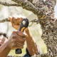 Складана пилка Fiskars Plus SW69 (1067553) - изображение 8