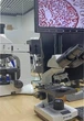 Биологический тринокулярный микроскоп Murzider MSD100-9-09C с 9-дюймовым HD-дисплеем 40Х 100X 400X 1000X - зображення 10