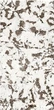 Стеновая бамбуковая панель BWD HQ-88191D Stone 2800х1220 (8мм) (HQ88191D8) - изображение 2