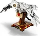 Конструктор LEGO Harry Potter Букля (75979) [89147] - изображение 3