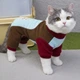 Костюм для котов (кошек) Петрос M Коричневый - изображение 1