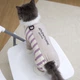 Спортивный костюм для котов (кошек) Компас L Серый - изображение 1