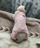 Костюм для котів (кішок) флісовий Пухнастик S Рожевий - зображення 9