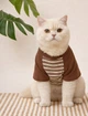 Спортивная кофта для котов (кошек) Параллель XS Коричневый - изображение 3
