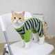 Спортивный костюм для котов (кошек) Компас S Зеленый - изображение 3