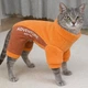 Спортивный костюм для котов (кошек) Альпы 2XL Оранжевый - изображение 1