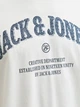 Футболка хлопковая длинная мужская Jack & Jones 12291213 2XL Cloud Dancer (5715830433946) - изображение 5