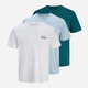 Набор футболок хлопковых длинных мужских Jack & Jones 12297298 S 3 шт Celestial Blue (5715865859636) - изображение 1