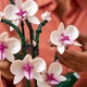 Конструктор Icons Орхидея 608 деталей Botanical - изображение 5