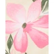 Комплект для купання Carter's 3в1 для дівчинки 88-93 см (2S570410_2T) - зображення 3