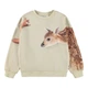 Свитшот Molo Maxi Forest Friends, цвет бежевый, размер 128 (2W25J210.9626) - изображение 1