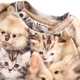 Свитшот Molo Disc Fuzzy Fluffy, цвет бежевый, размер 86 (4W25J203.9377) - изображение 3
