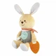 Мягкая игрушка Chicco "Зайчонок DouDou для объятий" (11467.00) - изображение 4