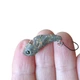 Воблер Lucky Craft Micro Air Claw S 33mm 2.8g, Pellet Spatter, б/в - изображение 2