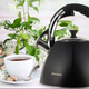 Чайник 3,2л нержавіюча сталь зі свистком з ручкою "soft-touch" чорний 100308 KAMILLE - изображение 4