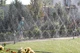 Шланг туман лента Silver Spray в размотку, ширина полива 6 м, диаметр 32 мм, Presto-PS - изображение 2