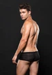 Мужские боксеры-транки ENVY Microfiber Trunk полосатые черные S/M 1 шт - изображение 2