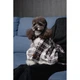 Плед Pet Fashion Bliss 1 для собак і котів плюш сірий картатий 70.5х55,5 см 4823082441334 - зображення 9