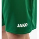 Шорты Jako MANCHESTER 2.0 темно-зеленые L 4400-207 - изображение 5