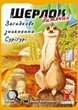 Настільна гра Шерлок дитячий. Набір 1. (3 гри: Загадкове зникнення Суріґурі, Де Альба?, Собачі справи) - изображение 2
