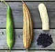 Семена GL Seeds Люффа мочалка 5шт семян - изображение 3