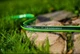 Шланг Cellfast ATS2 5/8" 50м (15-111) - изображение 3